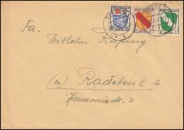 1+4+7+ Freimarken Wappen 1, 8 Und 15 Pf Als MiF Auf Brief SPEYER 4.1.1947 - Amtliche Ausgaben