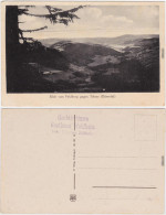 Ansichtskarte Titisee-Neustadt Blick Vom Feldberg Gegen Titisee 1922 - Titisee-Neustadt