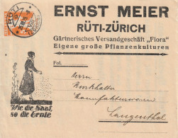 Suisse Entier Postal Illustré Privé Rüti 1925 - Entiers Postaux