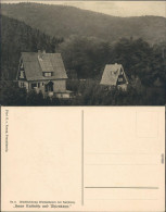 Ansichtskarte Bad Harzburg Waldsiedlung Wolfsklippen 1930 - Bad Harzburg