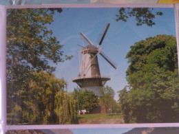 SCHIEDAM MOULIN DE DRIE KOORN BLOMEN - Schiedam