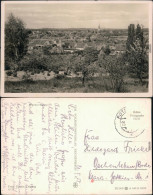Ansichtskarte Werder (Havel) Blick Auf Die Stadt 1955 - Werder