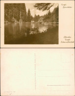 Ansichtskarte Olbernhau Partie Am Pulvermühlenteich 1932  - Olbernhau