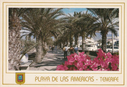 # ESPAGNE - CANARIES - TENERIFE / PLAYA De Las AMERICAS - Tenerife