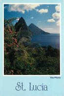 Antilles - Sainte Lucie - Saint Lucia - The Pitons - CPM - Voir Scans Recto-Verso - Santa Lucia