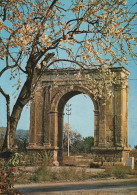 # ESPAGNE - TARRAGONA TARRAGONE / ARCO De BORA - Tarragona