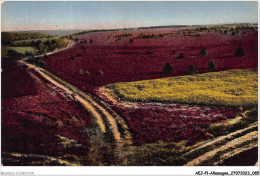 AEJP1-0044 - ALLEMAGNE - LUNEBURGER HEIDE - LUPINENFELD BEI BUEHHOLZ - Lüneburg