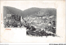 AEJP11-0884- ALLEMAGNE - TRIBERG - Triberg