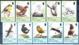 Fauna. Uccelli 1988-1989. - Tristan Da Cunha