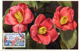 FLEUR + ROSE = 44 NANTES 1963 = CARTE MAXIMUM + CACHET  Illustré 'FLORALIES INTERNATIONALES' Sur N° Yvt 1369 - Rozen