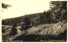 Nassau Im Ost Erzgebirge - Am Mäusebachweg - Frauenstein - Frauenstein (Erzgeb.)