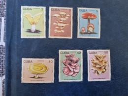 CUBA  NEUF  1989  SETAS  COMESTIBLES  // PARFAIT  ETAT--1er  CHOIX - Ongebruikt