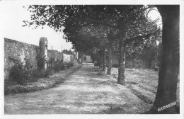 CPA 11 AZILLE / MONASTERE SAINTE CLAIRE / ALLEE DES TILLEULS / Cliché Rare - Sonstige & Ohne Zuordnung