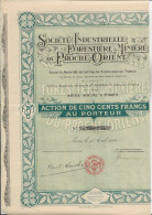 SOCIETE INDUSTRIELLE -FORESTIERE MINIERE DU PROCHE-ORIENT ACTION DE CINQ CENT FRANCS -ANNEE 1924 - Mineral