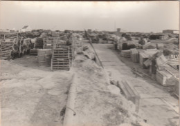 56  KERROCH  LORIENT   Préparatif De Pêche à Kerroch En PLOEMEUR    PHOTO LE GUERNEVE    TB PLAN. RARE - Ploemeur