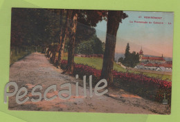 88 VOSGES - CP COLORISEE REMIREMONT - LA PROMENADE DU CALVAIRE - LL N° 47 Ellen - Remiremont