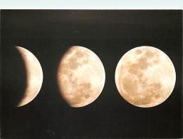 Astronomie - Cosmos - Phases De La Lune - Carte Neuve - CPM - Voir Scans Recto-Verso - Astronomia