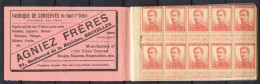 POSTZEGELBOEKJE 1913 MET 40 ZEGELS (123) - CARNET DE TIMBRE POSTE - (10 Zegels Ontbreken)                          Vs182 - 1907-1941 Alte [A]