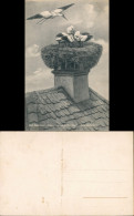Ansichtskarte Bad Dürrheim Storchennest Auf Dem Pfaarhaus 1918 - Bad Duerrheim