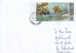 Kyrgyzstan 2024 Bishkek Himalayan Brown Bear Ursus Arctos Isabellinus Cover - Osos