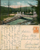 Ansichtskarte Seesen Kurpark - Brücke 1918 - Seesen