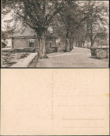 Ansichtskarte Göttingen Bismarckhaus Und Wall 1913 - Goettingen