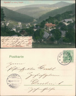 Ansichtskarte Kipsdorf-Altenberg (Erzgebirge) Stadt - Handcolorierte AK 1903 - Kipsdorf