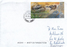 Kyrgyzstan 2024 Bishkek Eastern Steppe Viper Vipera Renardi Cover - Serpents