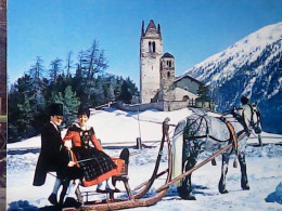 SUISSE SVIZZERA ZURICH CELERINA. Schliteba Bei San Gian CAVALLO HORSE  SLITTA VB1977 JV5834 - Celerina/Schlarigna