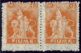 ITALY ITALIA FIUME 1919 ALLEGORIE E VEDUTE COPPIA 45 C. CARTA B (Sass. B41) MNH ** - Fiume