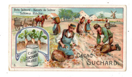 Chromo Chocolat Suchard, 191 / 5, Serie:légumes, Navets De Tellow - Suchard
