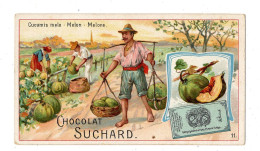 Chromo Chocolat Suchard, 191 / 11, Serie:légumes, Melon - Suchard