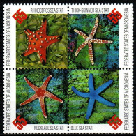 Mikronesien 1963 - Mi.Nr. 490 - 493 - Postfrisch MNH - Tiere Animals Seesterne Starfish - Maritiem Leven