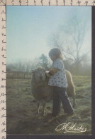 94300GF/ Photographe Ph. HACHEZ, Garçonnet Avec Un Mouton - Colecciones, Lotes & Series