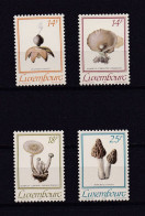 LUXEMBOURG 1991 TIMBRE N°1217/20 NEUF** CHAMPIGNONS - Ungebraucht