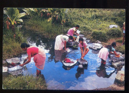 Mauritius - Ile Maurice - Laveuses A La Riviere. (timbre Stamp ) - Mauritius