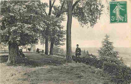 40 - Saint Sever - Terrasse De Morlanne - Animée - CPA - Voir Scans Recto-Verso - Saint Sever