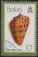 1981 Belize ° Mi:BZ 459II, Sn:BZ 476a, Yt:BZ 534, Date : 1981. West Indian Alphabet Cone (Conus Spurius), Muschel - Belize (1973-...)