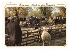 FOIRE AUX MOUTONS DES CAUSSES (carte Photo Animée) - Foires