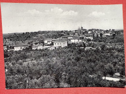 Cartolina - Pozzo Della Chiana ( Arezzo ) - Panorama - 1950 Ca. - Arezzo