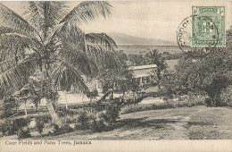 JAMAICA -  "GORDON TOWN" CDS ON FRANKED PC (VIEW OF CANE FIELDS) FROM KINGSTON TO BELGIUM - 1910 - Jamaica (...-1961)