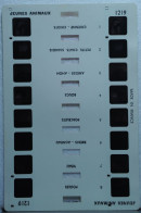COLORELIEF  :   1219   JEUNES ANIMAUX - Visionneuses Stéréoscopiques