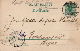 GERMANY EMPIRE 1896 POSTCARD  MiNr P 31 A F SENT FROM TANNHAUSEN /JEDLINA / TO SALZBRUNN /SZCZAWNO - Storia Postale