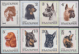 BULGARIA 1970, FAUNA, DOGS, COMPLETE MNH SERIES With GOOD QUALITY,*** - Unused Stamps