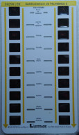 LESTRADE :     30290 J EX   BAMBOUSERAIE DE PRAFRANCE 2 - Stereoskope - Stereobetrachter
