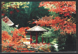 CHINE. 6 Cartes Postales Pré-timbrées De 1994. Mont Lushan. - Ansichtskarten