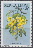 Sierra Leone Mi.Nr. 908 Blüten, Cassia Fistula (30) - Sierra Leone (1961-...)