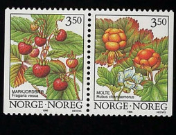 1996 Wilde Beeren  Michel NO W45 Stamp Number NO 1088-1089 Yvert Et Tellier NO 1161a Stanley Gibbons NO 1224-1225 Xx MNH - Neufs
