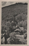 62187 - Schwarzburg - Gasthaus Schweizerhaus - 1957 - Saalfeld