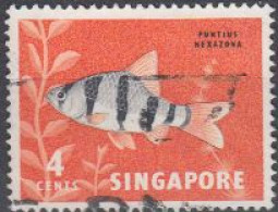 Singapur Mi.Nr. 55 Freim. Fauna Und Flora, Sechsgürtelbarbe (4) - Singapore (1959-...)